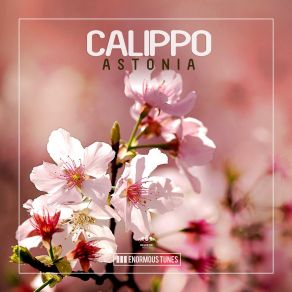 Download track Astonia (Original Mix) Calippo