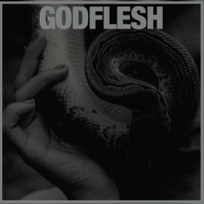 Download track You Are The Judge The Jury And The Executioner Godflesh