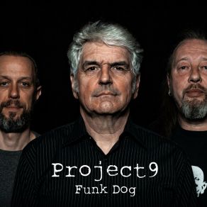 Download track Funk Dog Project 9