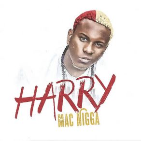 Download track Yo Estoy En Mi Talla Harry Mac Nigga