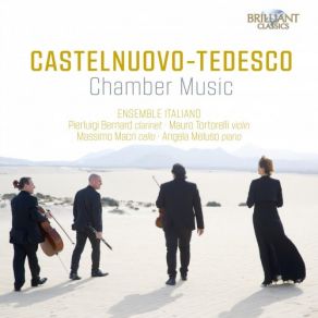 Download track Trio In G Minor No. 2, Op. 70: I. Schietto E Deciso Ensemble Italiano