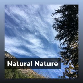 Download track Calm Senses Actors Of Nature