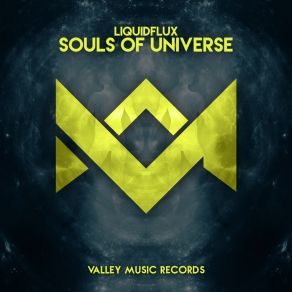 Download track Souls Of Universe LiquidFlux