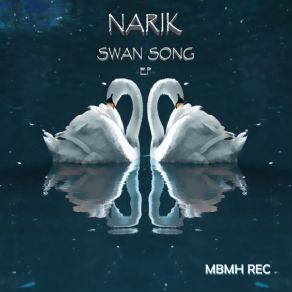 Download track Canon Rush (Original Mix) Narik