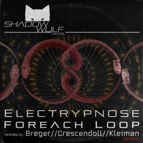 Download track Foreach Loop (Kleiman Remix) Electrypnose