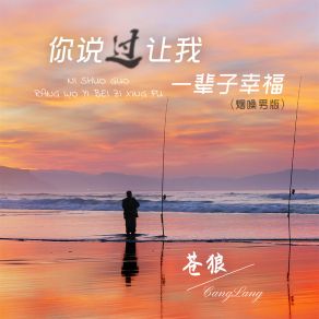 Download track 你说过让我一辈子幸福 (烟嗓男版伴奏) 苍狼