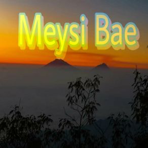 Download track Love End Meysi Bae