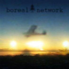 Download track Dead Sky Boreal Network