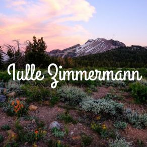 Download track You Misunderstood Me Iulle Zimmermann