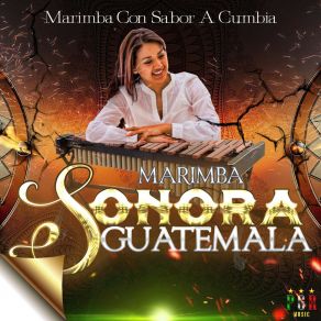 Download track El Paso De La Tortuga Marimba Sonora Guatemala