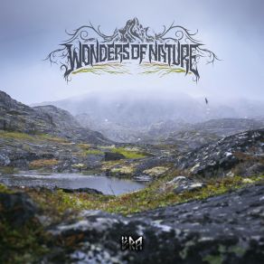 Download track Rain Wonders Of Nature