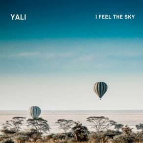 Download track I Feel The Sky (Radio Edit) Yali