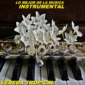 Download track Vereda Tropical Lo Mejor De La Musica Instrumental