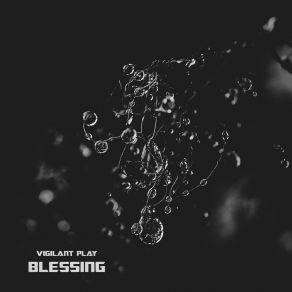 Download track Blessing Vigilant PLAY