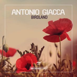 Download track Birdland (Original Mix) Antonio Giacca