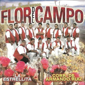 Download track Lo Nuestro Se Ha Terminado Banda Flor Del Campo