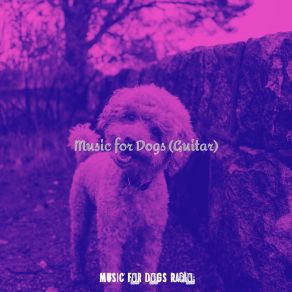 Download track Unique Music For Lonely Dogs Music For Dogs Radio