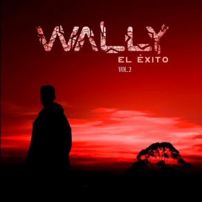 Download track Aladdin Wally