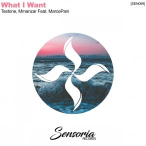 Download track What I Want (Logic Lab Remix) MarcepaniLogic Lab