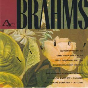 Download track Zigeunerlieder Op. 103 V. Brauner Bursche Führt Zum Tanze Freiburger Vokalensemble, Wolfgang Schafer