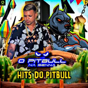 Download track Papoco De Quarentão O Pitbull Na SennaFAMOSINHO NO BEAT