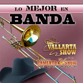 Download track Biribip Banda Vallarta Show