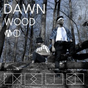 Download track Starry Sky THE WOOD