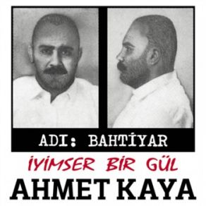 Download track Iyimser Bir Gul Ahmet Kaya