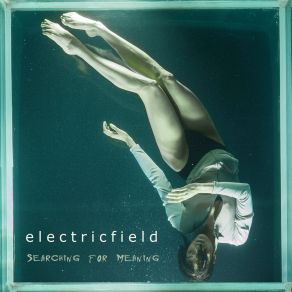 Download track Brainwash Electricfield