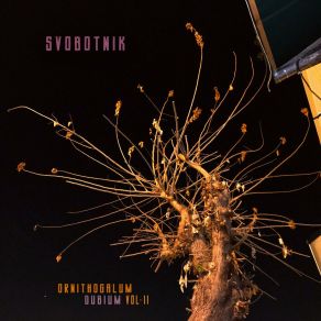 Download track Silencio Svobotnik