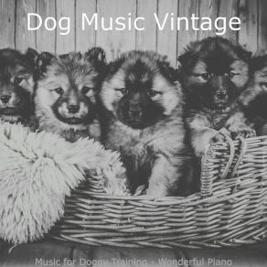 Download track Easy Moods For Resting Dogs Dog Music Vintage