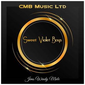 Download track Sweet Violets No 3 (Original Mix) Sweet Violet Boys