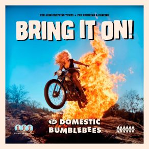 Download track Old Town Blues The Domestic Bumblebees