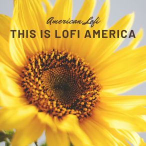 Download track Our America American Lofi