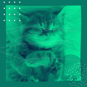 Download track Background For Cute Kitten Calming Music For Cats