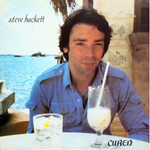 Download track Funny Feeling Steve Hackett