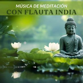 Download track Melodías Del Alma Miguel Relajación