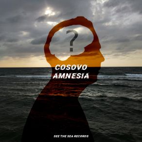 Download track Suspicious (Original Mix) Cosovo