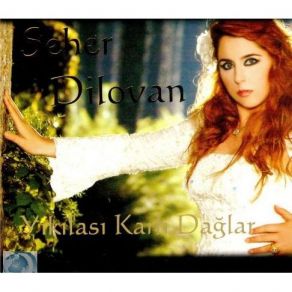 Download track Dokunma Keyfine Seher Dilovan