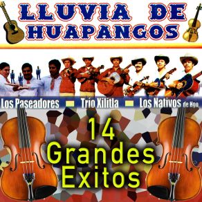 Download track El Tejoncito Lluvia De Huapangos