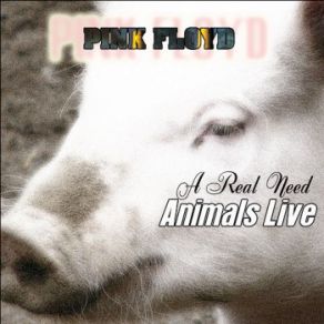 Download track Sheep Pink Floyd