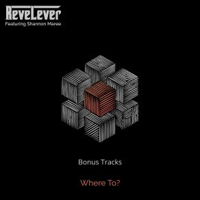 Download track Unite REVELEVER, Shannon Maree