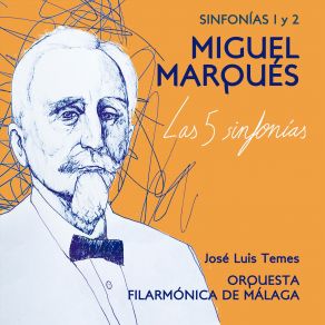 Download track Sinfonía 1, En Si B Mayor: II. Andantino Agitato Jose Luis TemesOrquesta Filarmónica De Málaga