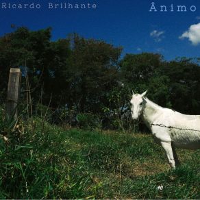 Download track Nuvens Ricardo Brilhante