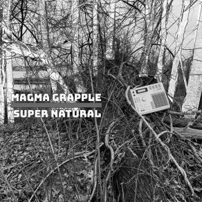 Download track Separate Courses Magma Grapple