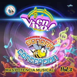 Download track Scooby Doo Pa Pa (En Vivo) Marimba Orquesta Sonora Concepción