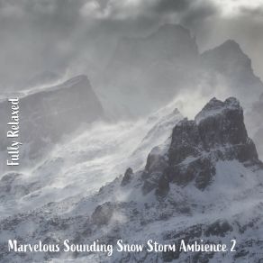 Download track Marvelous Sounding Snow Storm Ambience, Pt. 12 Steve Brassel