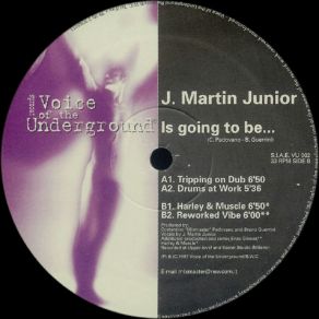 Download track Is Going To Be... (Harley & Muscle Mix) J Martin Junior