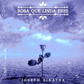 Download track Rosa Que Linda Eres (Extended Mix) Joseph Sinatra