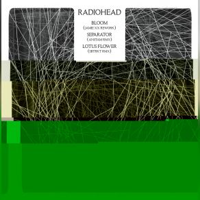 Download track Bloom (Jamie Xx Rework) Radiohead